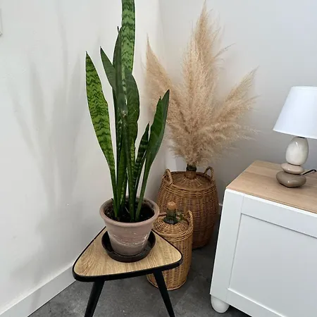 Apartment - - Proche Gare Et Marche De Noel - Parking - Confort - Moderne