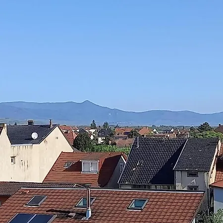 - - Proche Gare Et Marche De Noel - Parking - Confort - Moderne Colmar